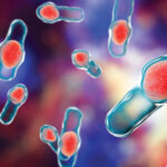 3D illustration of recurrent Clostridium difficile bacteria