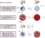 Robert Koch’s four postulates, a set of criteria that establish that a specific microbe caused a corresponding disease