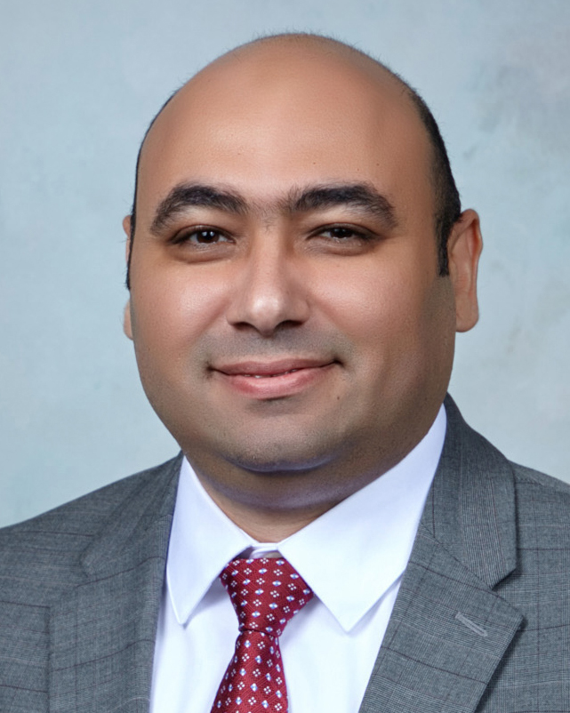 Wael S. Eldahshan, PhD