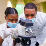 Health care researchers working in life sciences laboratory.